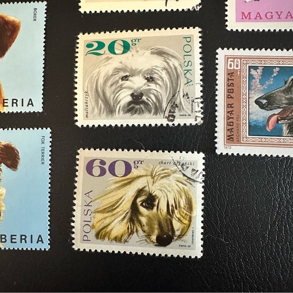Vintage Puppy & Dog Stamp Collection – Liberia, Poland, Hungary – 1960s–70s - Picture 6 of 8